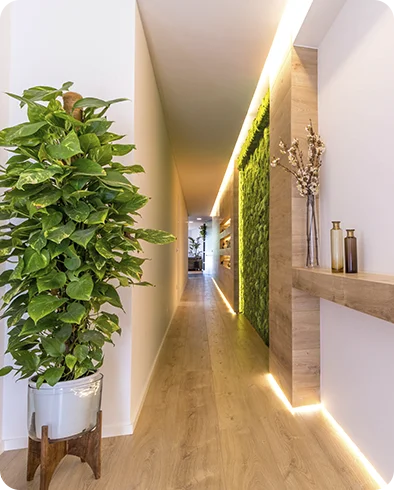 Visitas guiadas a vivienda con Soria Casas