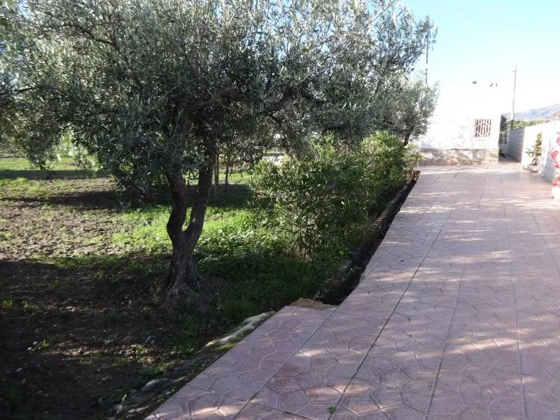 Country house · 3 bed · 1 bath · 100 m² · Elda — Photo 4 of 21