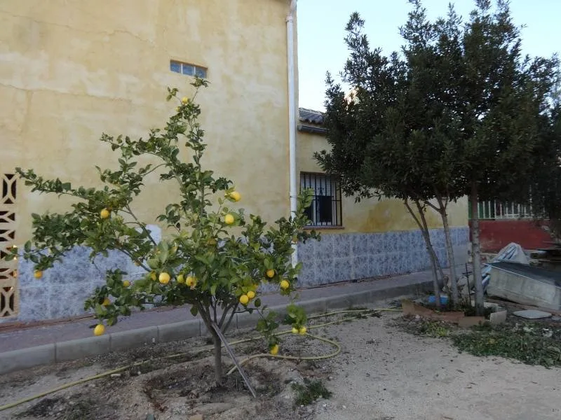 Country house · 3 bed · 1 bath · 95 m² · Elda — Photo 2 of 15