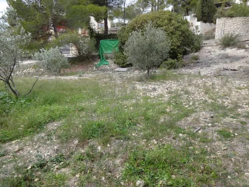 Country house · 3 bed · 1 bath · 145 m² · Petrer — Photo 2 of 20