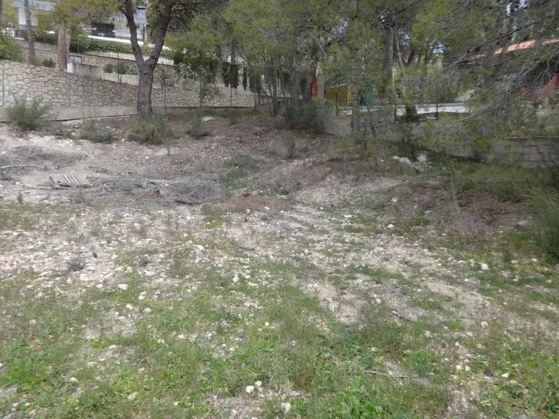 Country house · 3 bed · 1 bath · 145 m² · Petrer — Photo 3 of 20