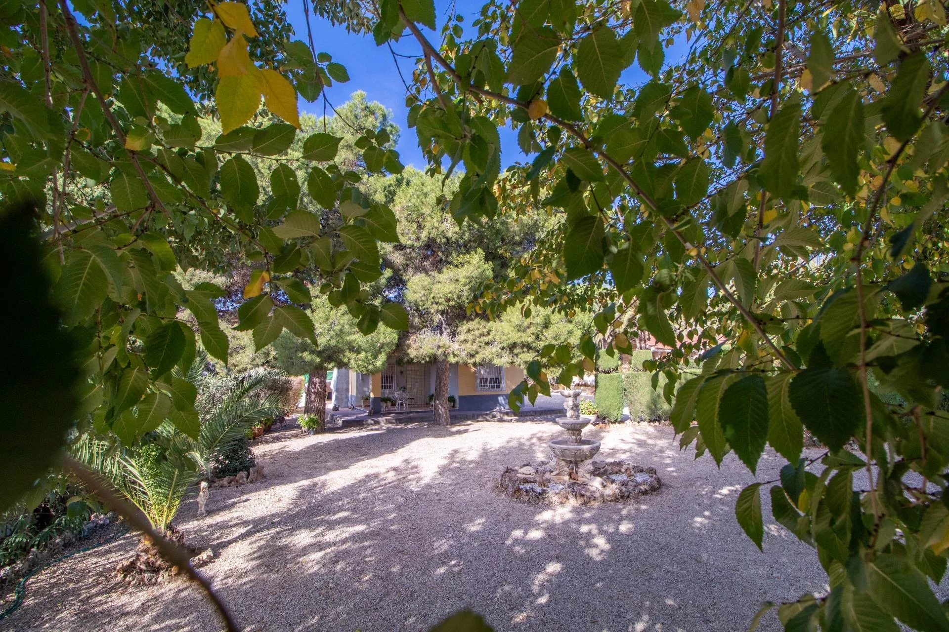 Encanto Rústico y Confort en Sax — Foto 5 de 37