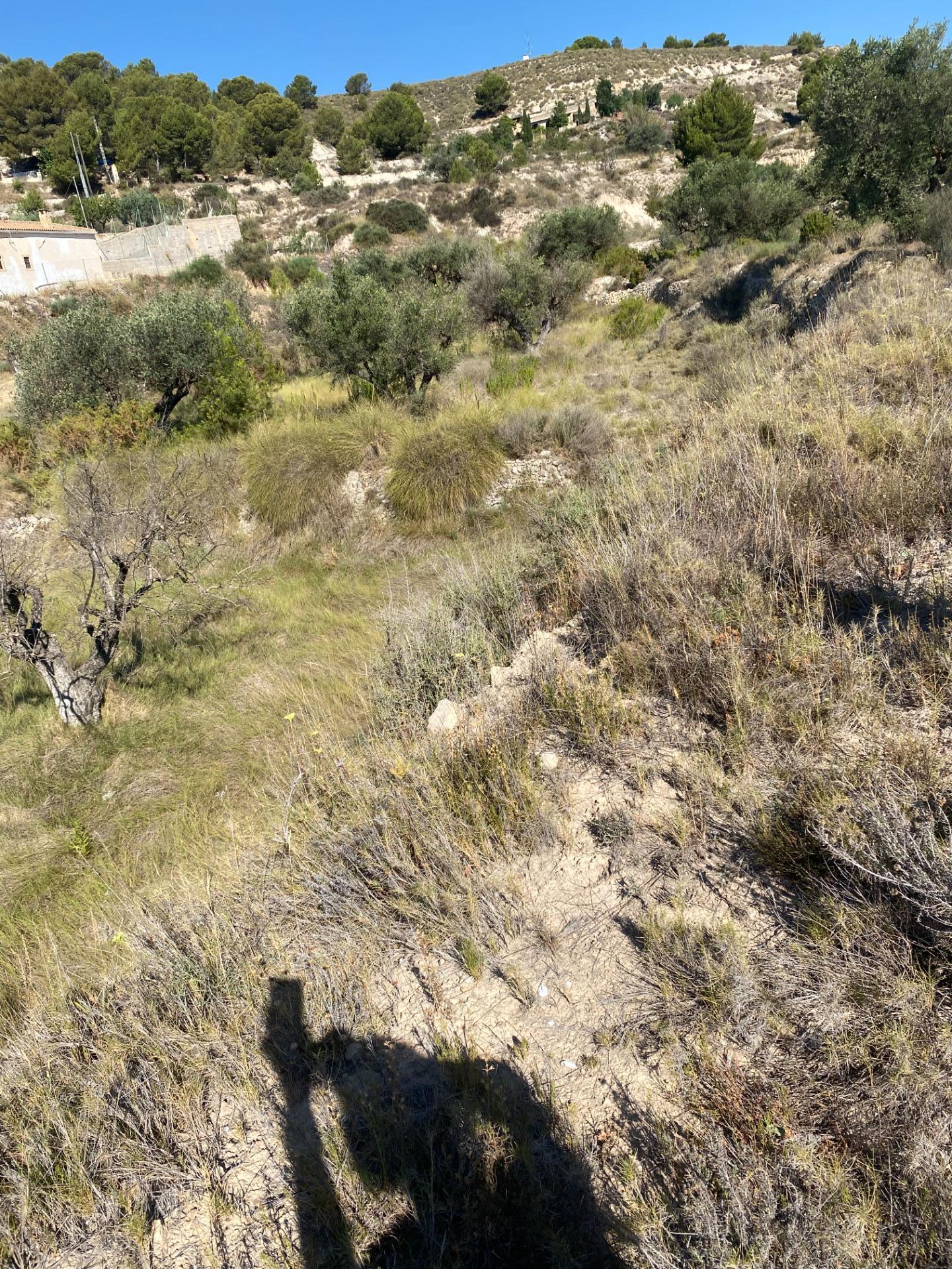Terreno rústico de 3000m2 en partida cochinets petrer
