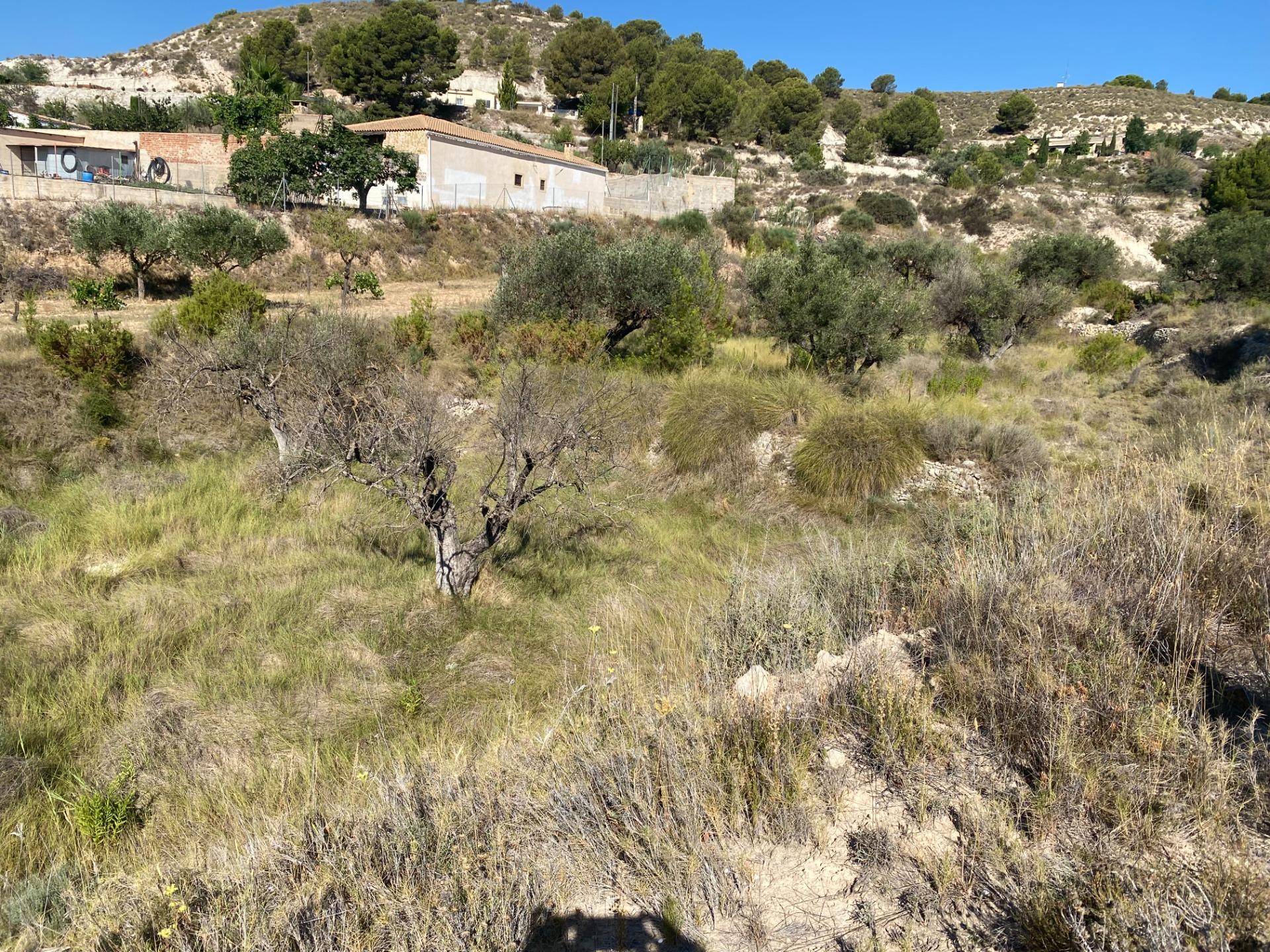 Land for sale in Les Pedreres, Petrer — Photo 2 of 2