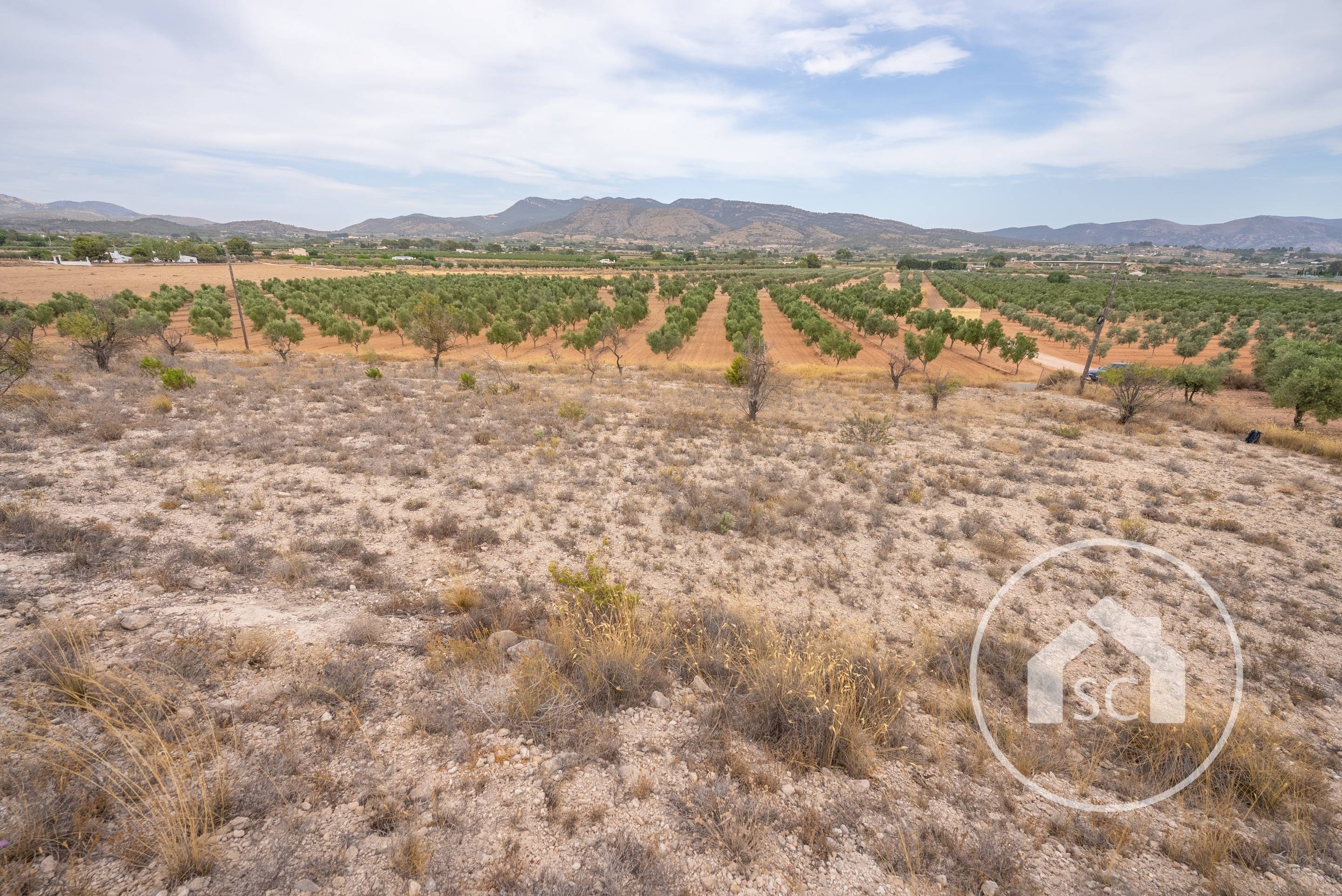 Land for sale in Comunidad valenciana, Sax — Photo 3 of 10