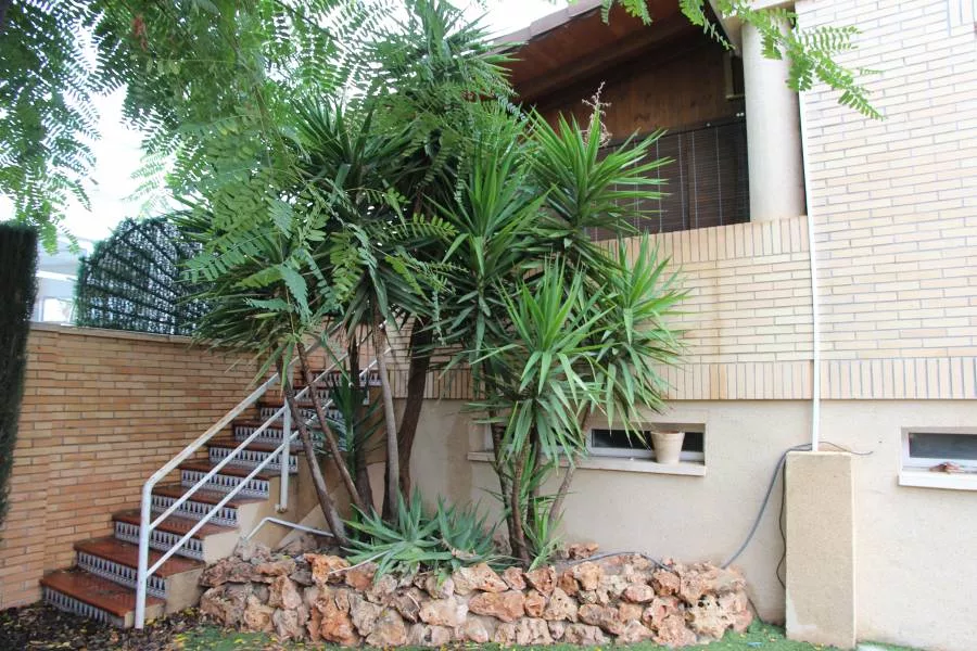 Bungalow · 3 bed · 3 baths · 210 m² · Elda — Photo 2 of 21