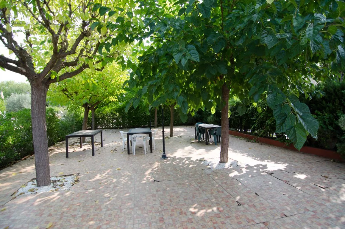 Country house · 4 bed · 2 baths · 200 m² · Elda — Photo 3 of 19