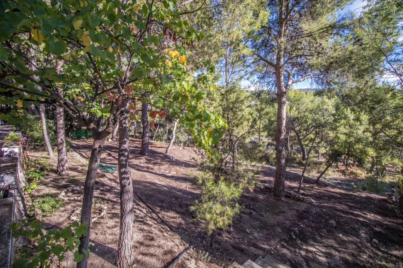 Country house · 3 bed · 1 bath · 100 m² · Petrer — Photo 3 of 34