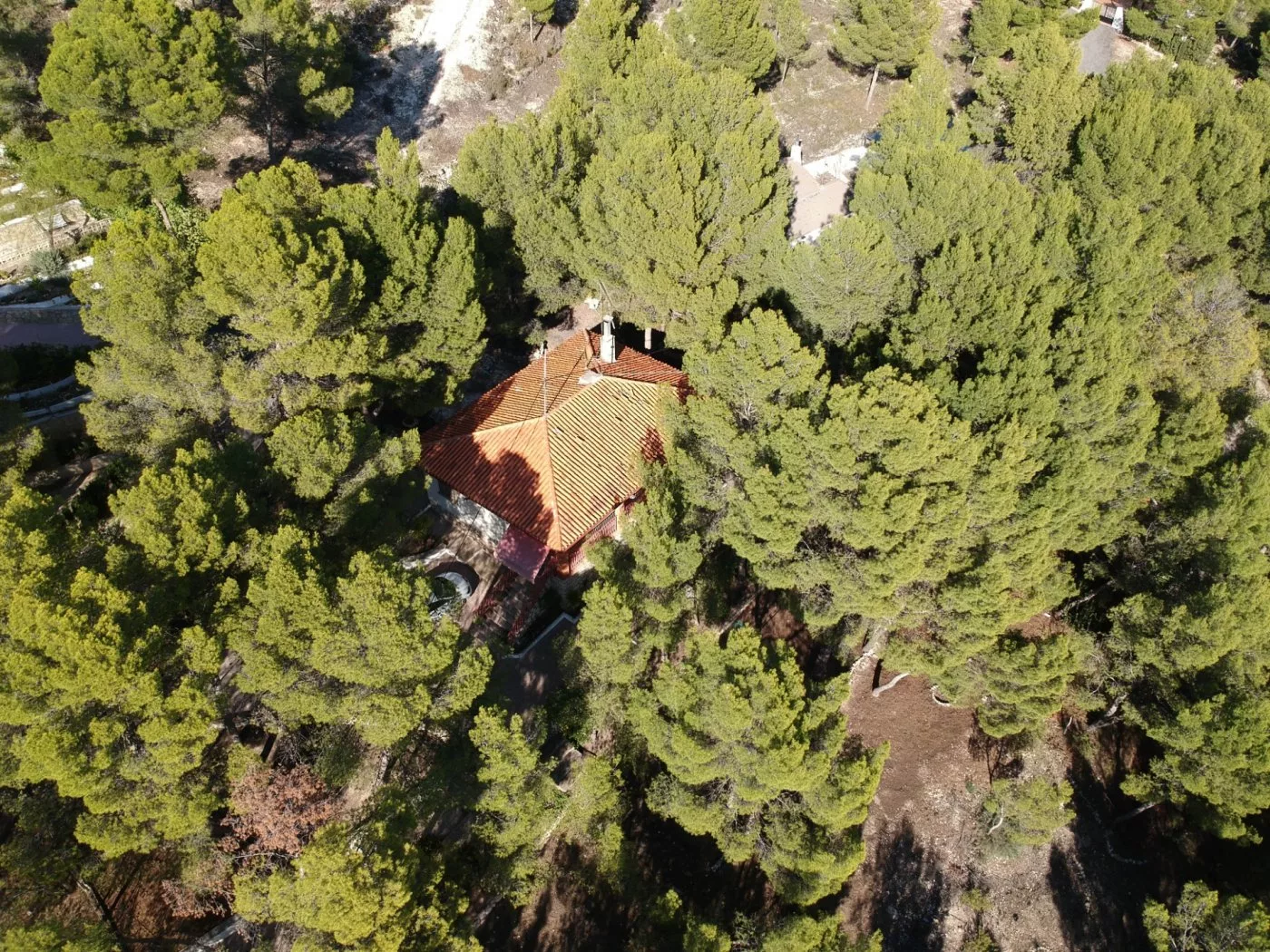 Country house · 3 bed · 1 bath · 100 m² · Petrer — Photo 5 of 34