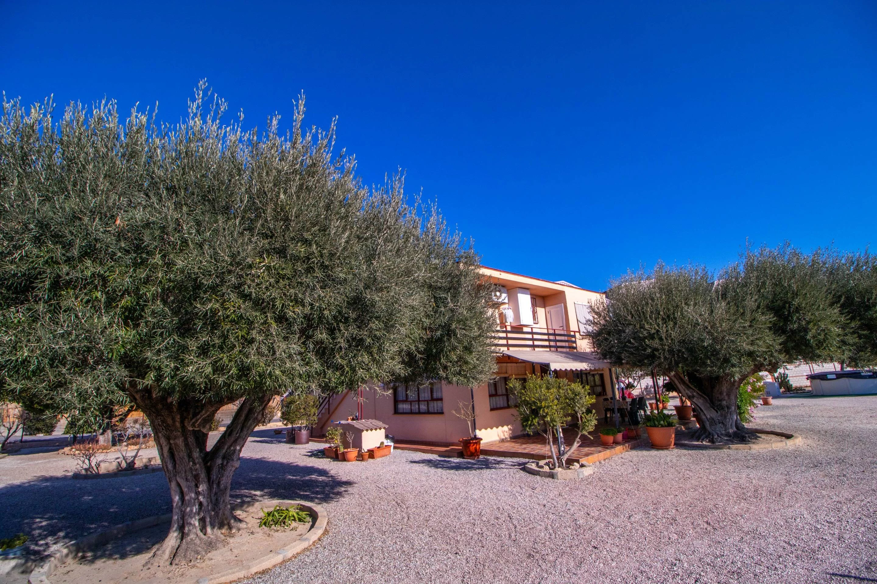 Villa for rent in Centro excursionista, Elda — Photo 2 of 35