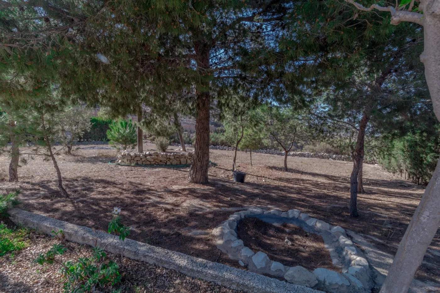 Country house for rent in Los Colegiales, Petrer — Photo 4 of 25