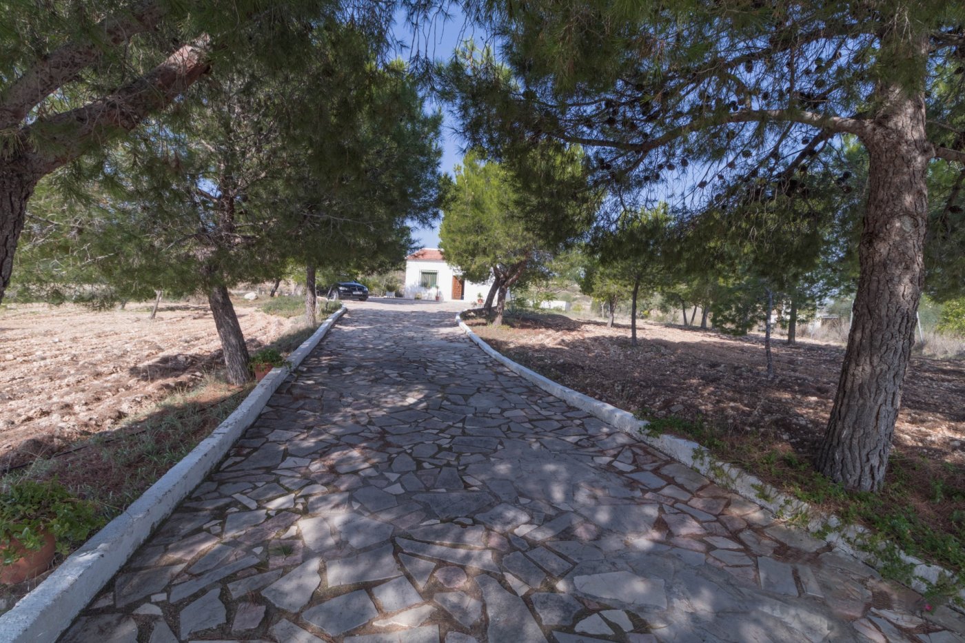 Country house · 3 bed · 1 bath · 70 m² · Monovar - Monover — Photo 3 of 15