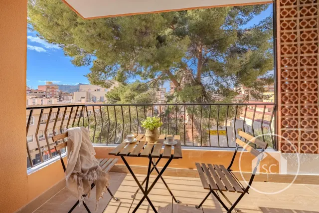 Habitación for rent in Avenida de chapí, Elda