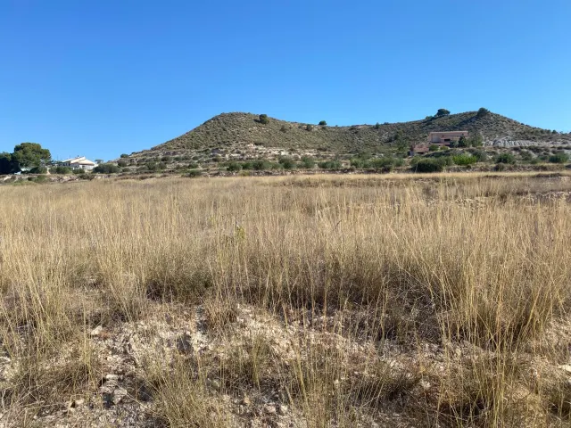 Terreno rústico de 50000m2 en Petrer