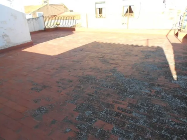 House · 7 bed · 2 baths · 330 m² · Elda