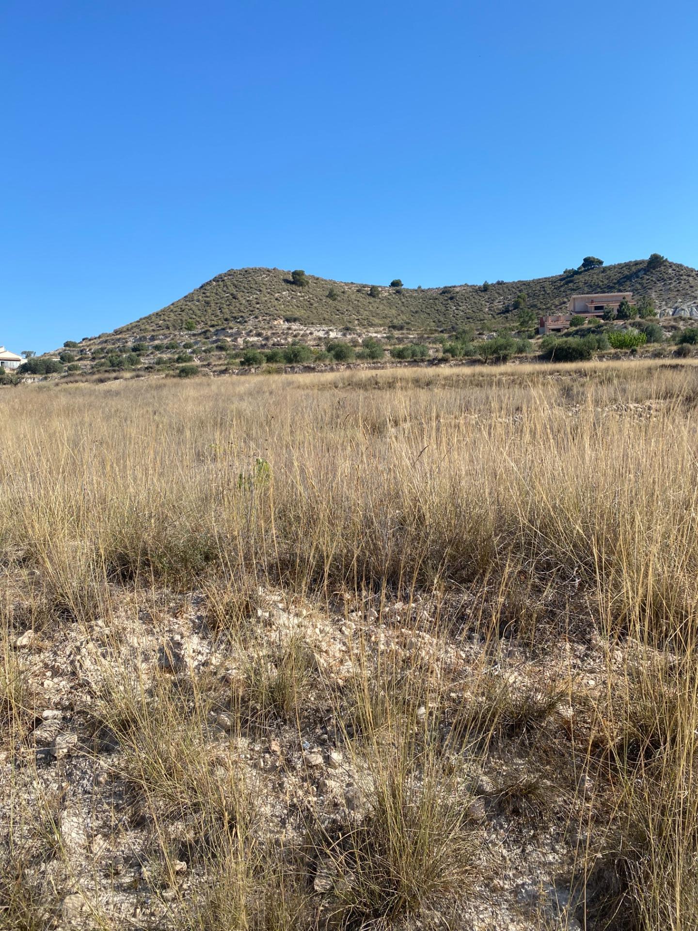 Solar en venta en Les Pedreres, Petrer — Foto 2 de 4